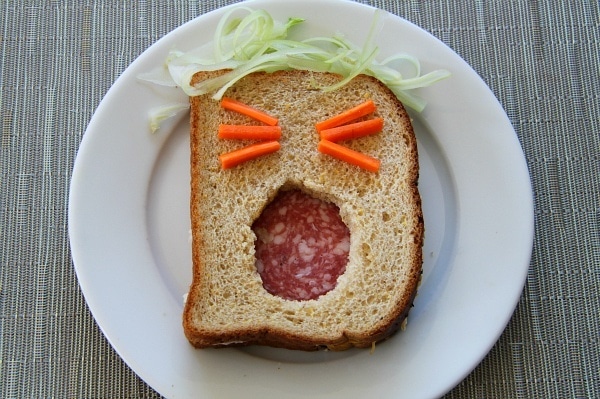 Kids Lunches Tired Sandwich