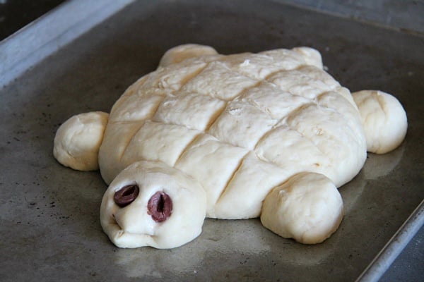 Turtle Bread Recipe Dough