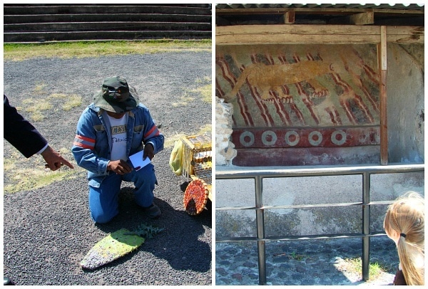 Cochineal Red Cactus Dye Teotihuacan