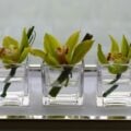 Four Seasons Hotel Hong Kong Orchids