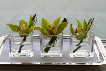 Four Seasons Hotel Hong Kong Orchids