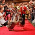 The Peabody Memphis Hotel Duck Walk