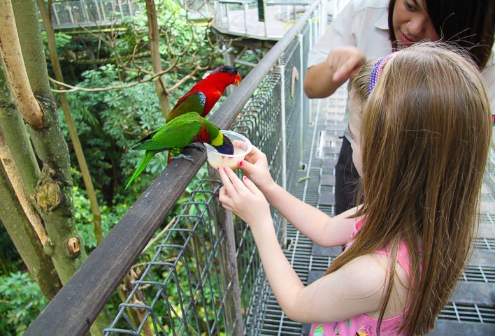 Singapore with Kids- Jurong Bird Park Rainbow Lorries