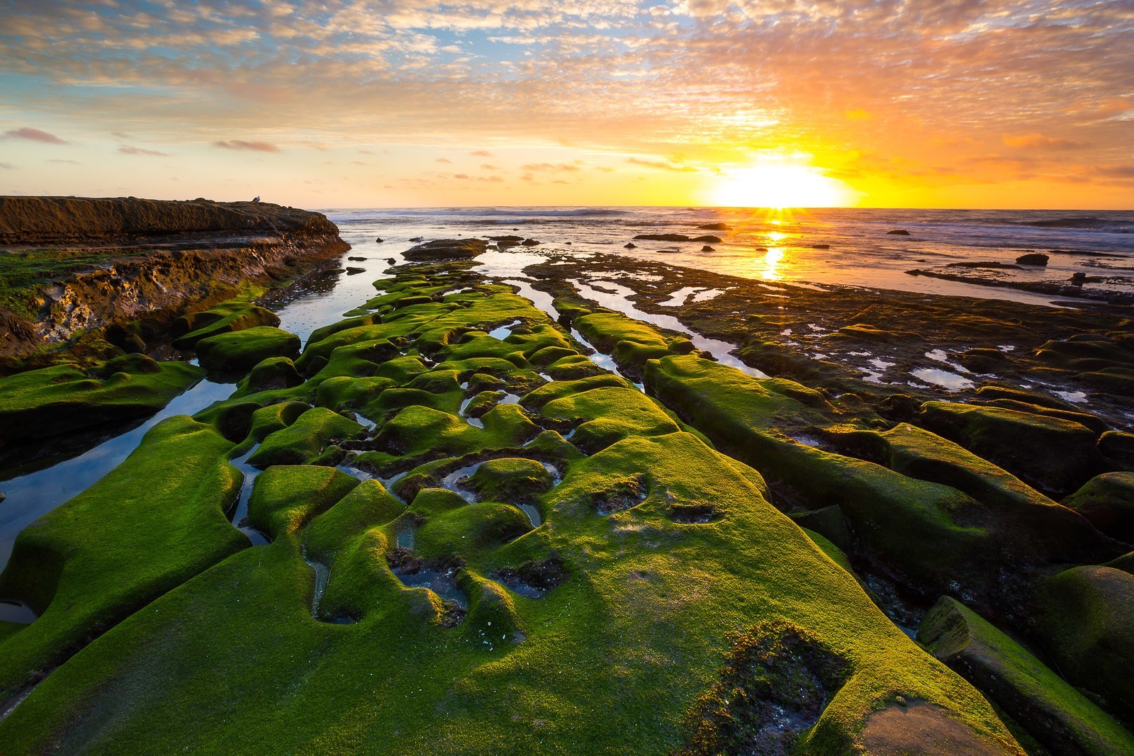 Seals, Secret Swing, and Water Activities at La Jolla Cove