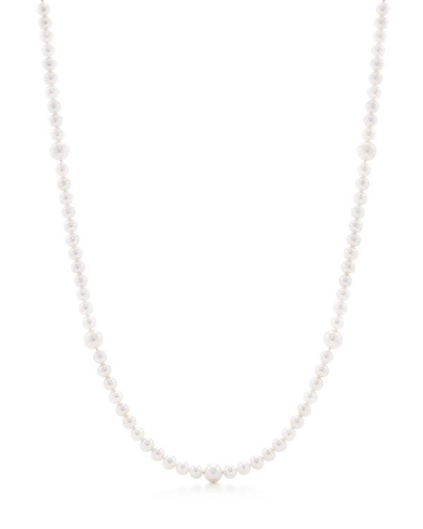 san diego experience gift ideas