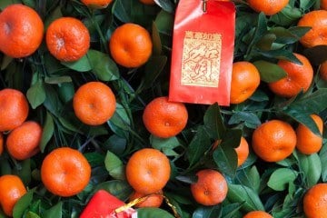 Citrus Trees for Chinese New Year