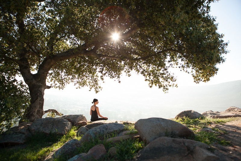 rancho la puerta family week