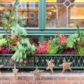 A Christmas window box in Nuremberg