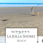 Why La Jolla Shores Beach is one of San Diego's best beaches for underwater park access, kayaking, surfing, pretty sand, free parking, and family fun.