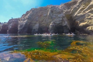 A kayak tour of the La Jolla sea caves by Everyday California