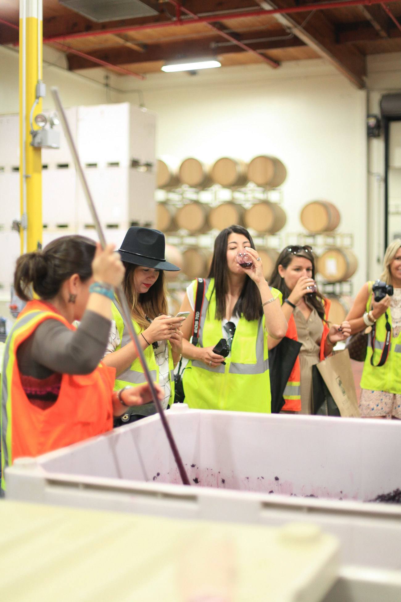 Tasting young wines at Sterling Vineyards in Napa Valley