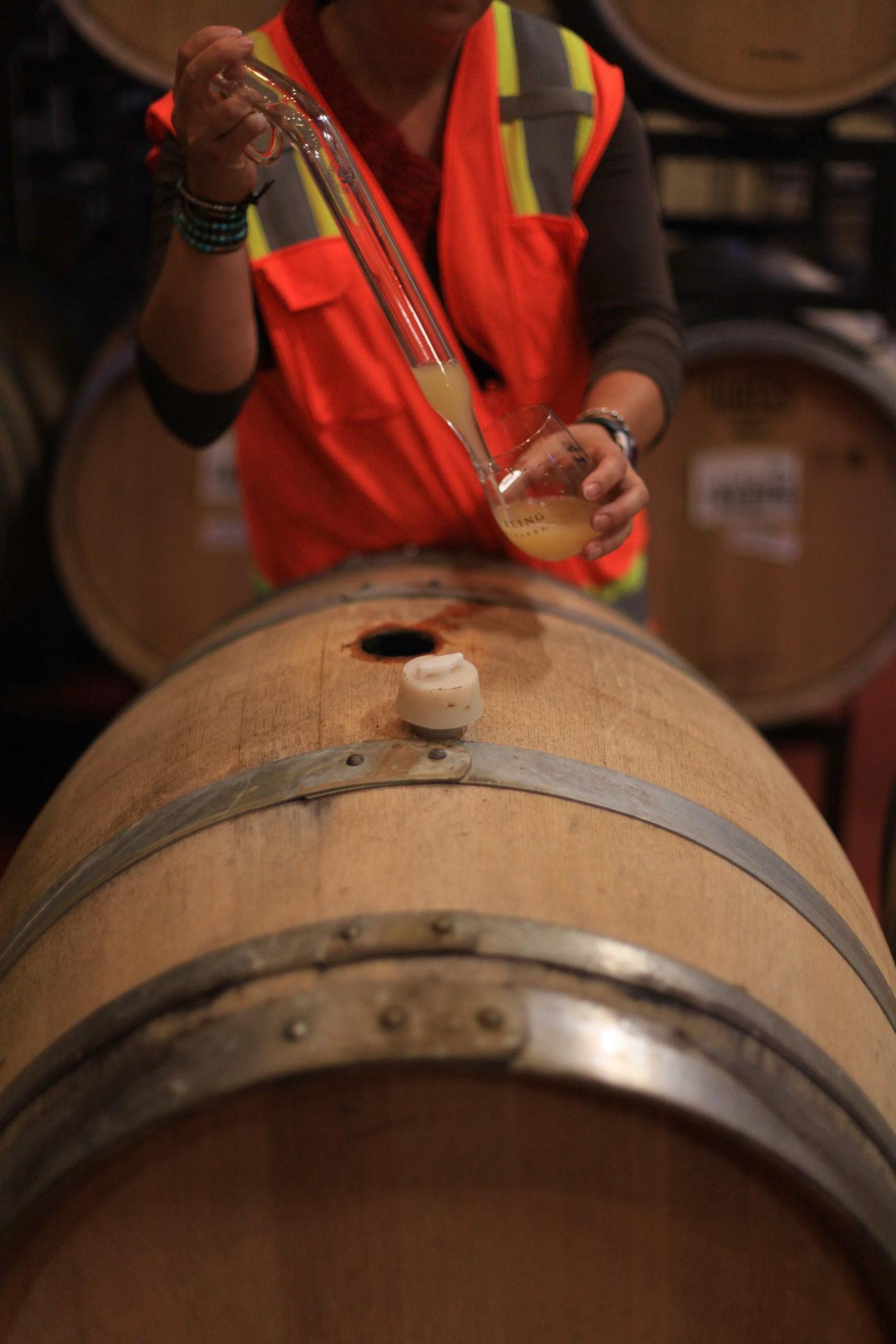 Tasting Chardonnay from a barrel at Sterling Vineyards in Napa Valley