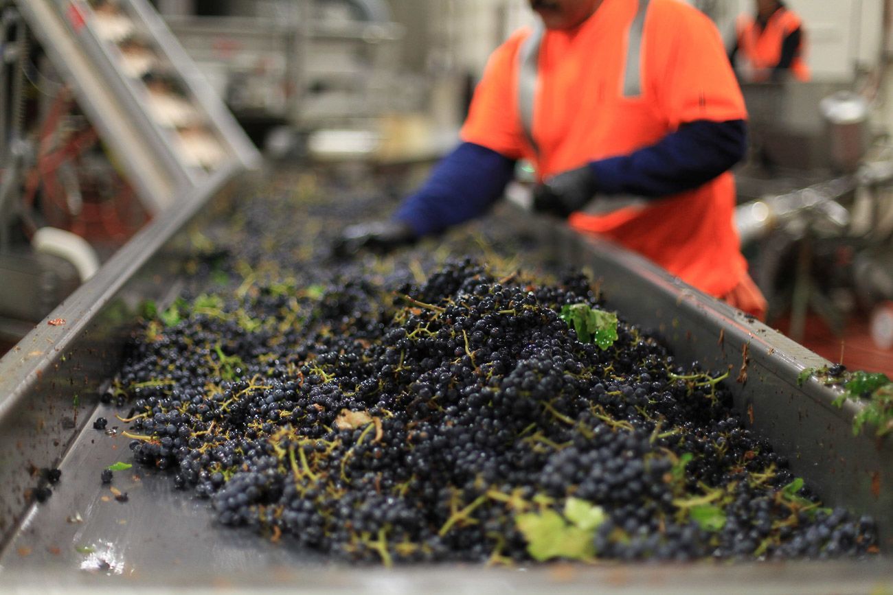 sterling vineyards napa valley