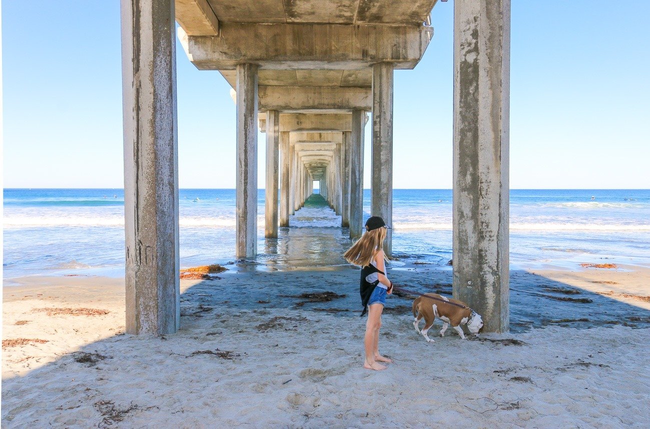 My daughter and dog walk beneath the pylons of Scripps Pier on La Jolla Shores Beach.