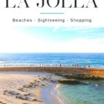 Find the best things to do in La Jolla with this ultimate guide to attractions including beaches, museums, parks and more — written by a resident.