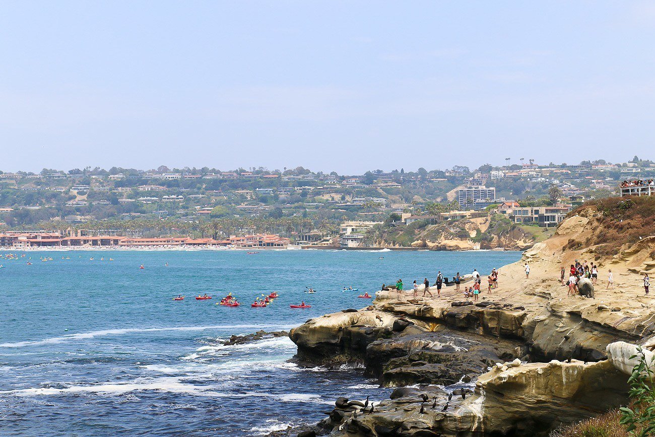 Kayakers and seals seen in the ocean from La Jolla Cove