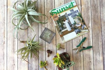 Simple projects inspired by Sunset Magazine.