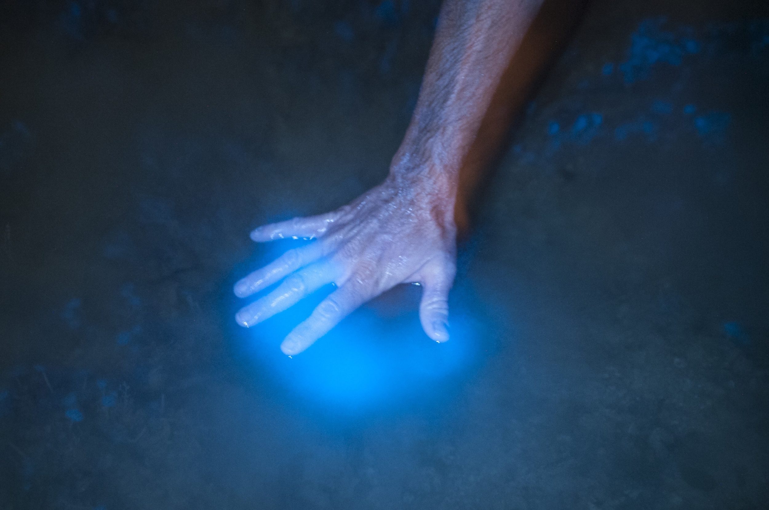 Water glows around a hand in the bioluminescent bay.