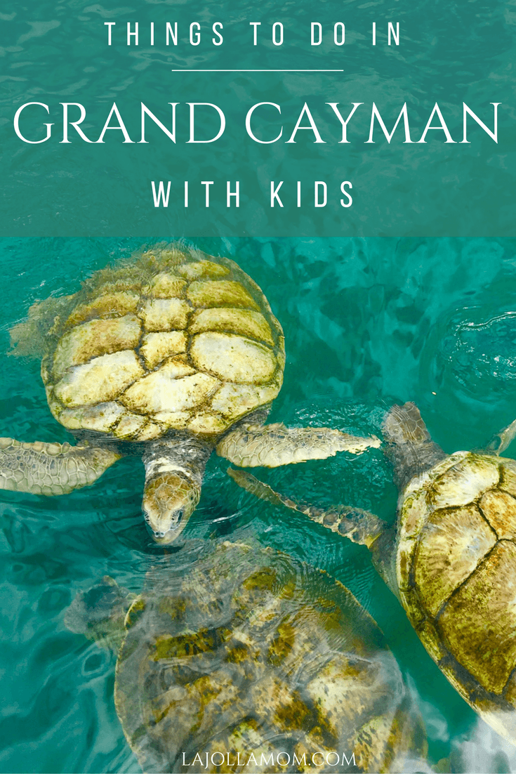 These are the things you MUST do on a Grand Cayman family vacation.
