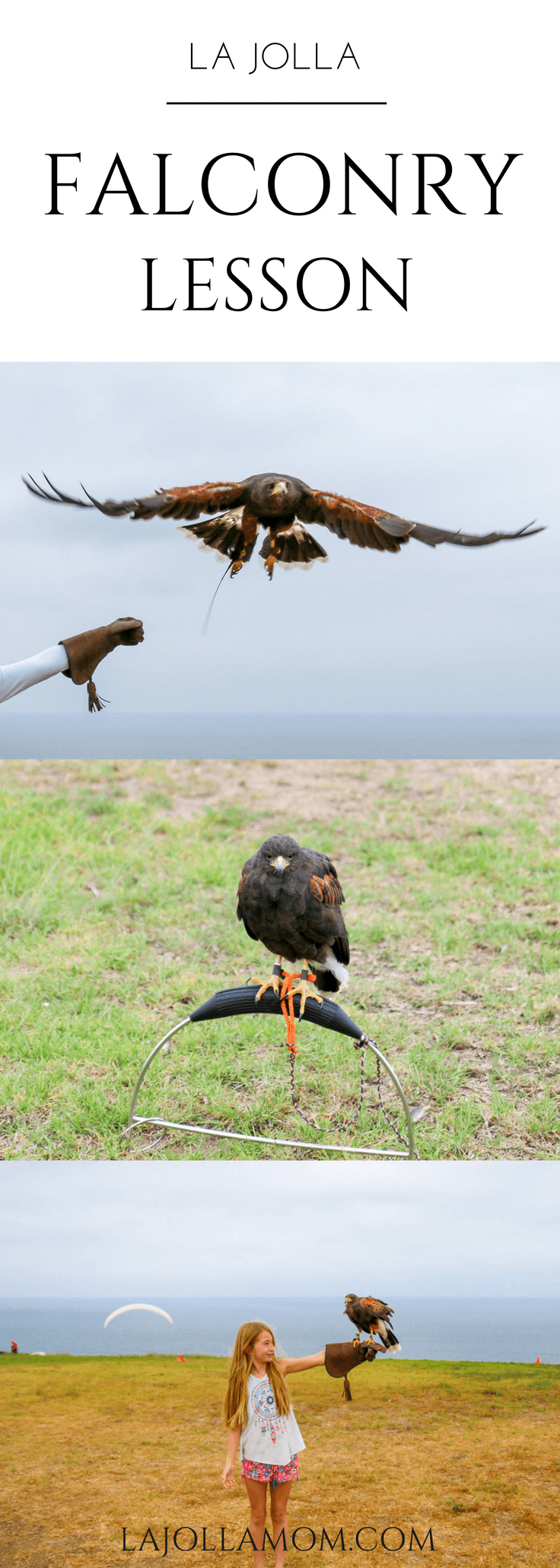 A basic falconry lesson at Torrey Pines Gliderport in La Jolla is an awesome thing to do in San Diego with kids.