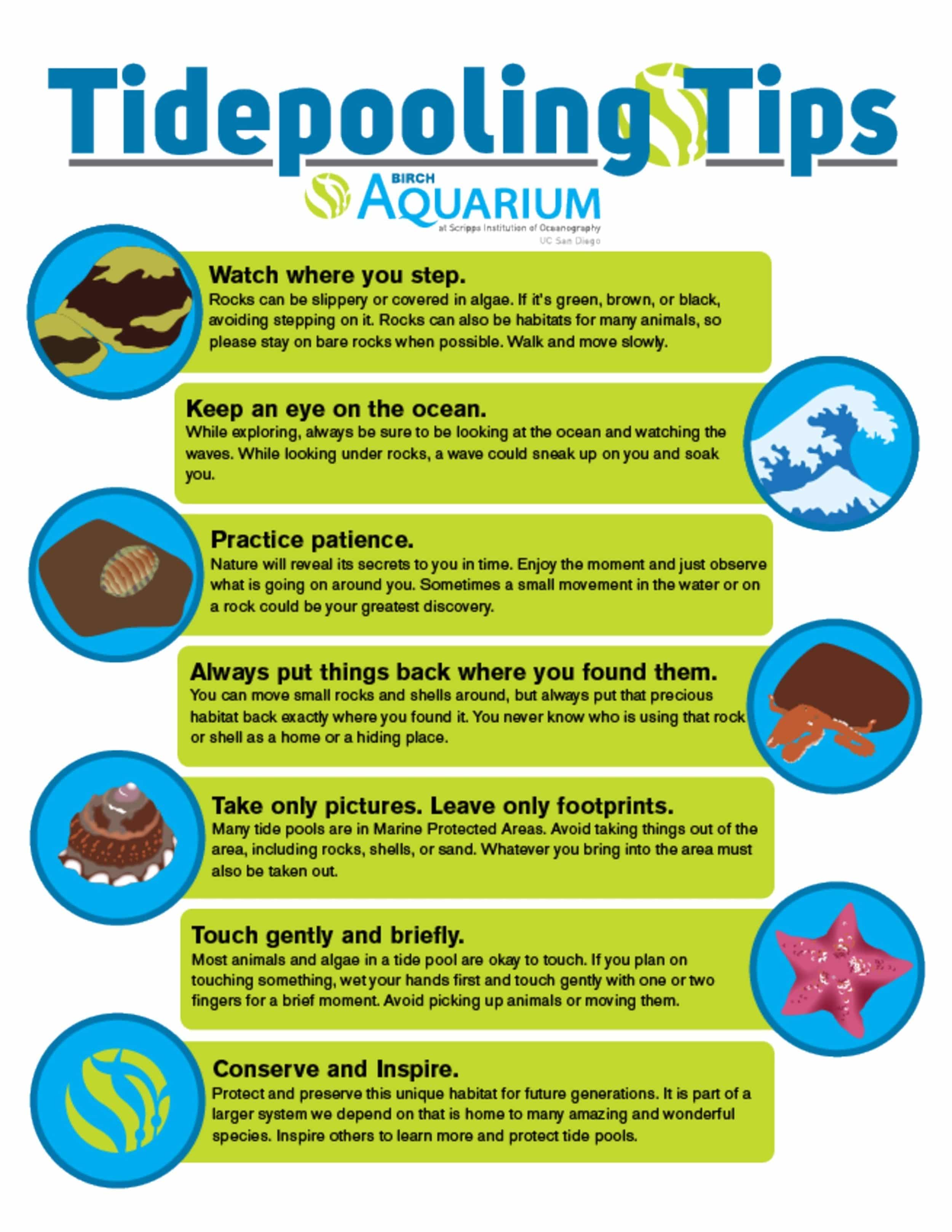 Birch Aquarium Tide Pool Tips