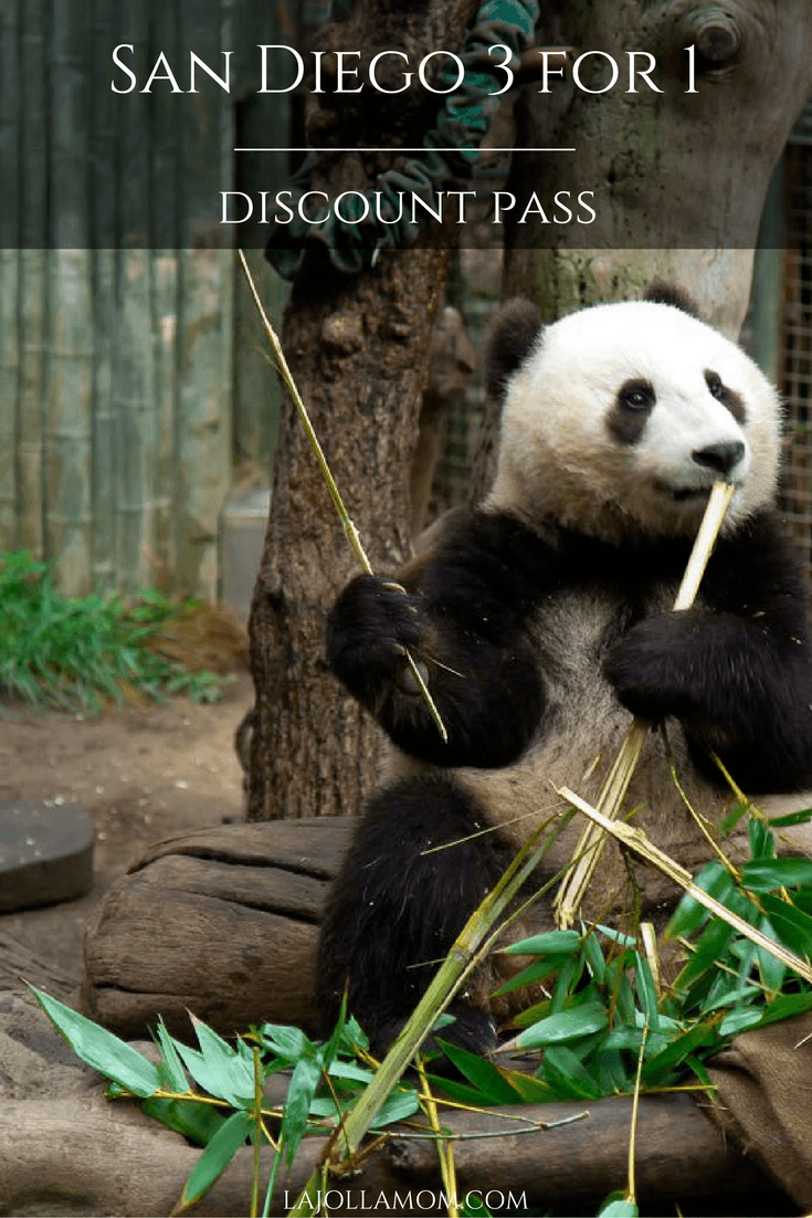 The San Diego 3 for 1 pass provides unlimited admission to three of our best attractions over 7 days. Let's analyze if this discount pass is worthwhile.