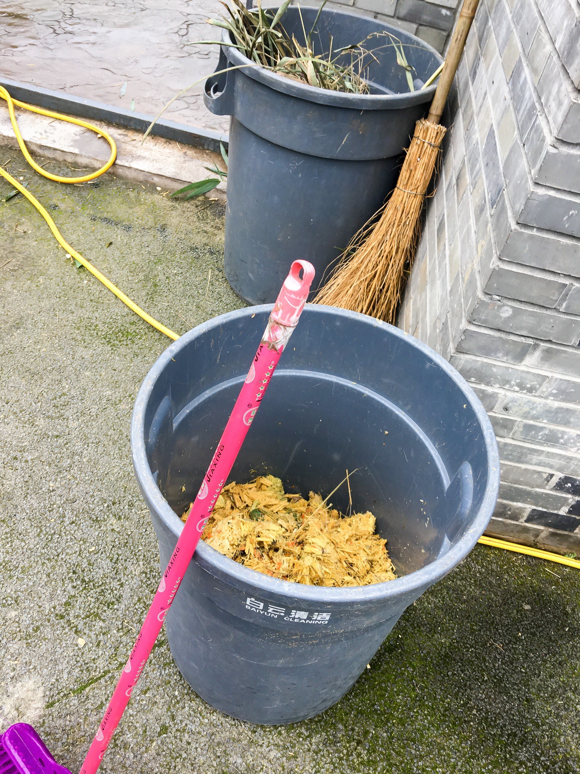 Cleaning panda poop at Dujiangyan Panda Base in China
