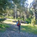 William Heise State Park campground in Julian, California