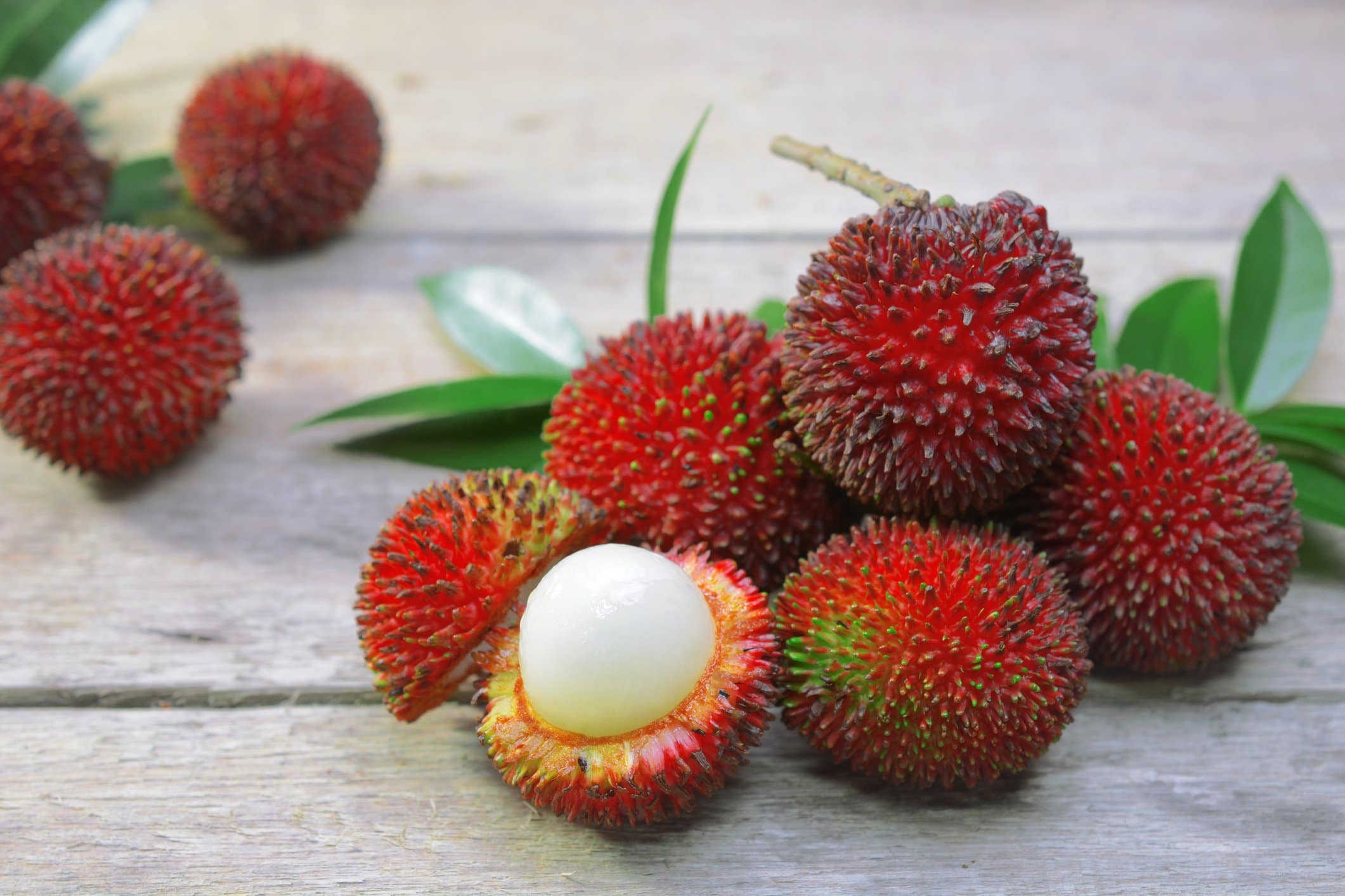 asian fruits like lychee - is strawberry a fruit