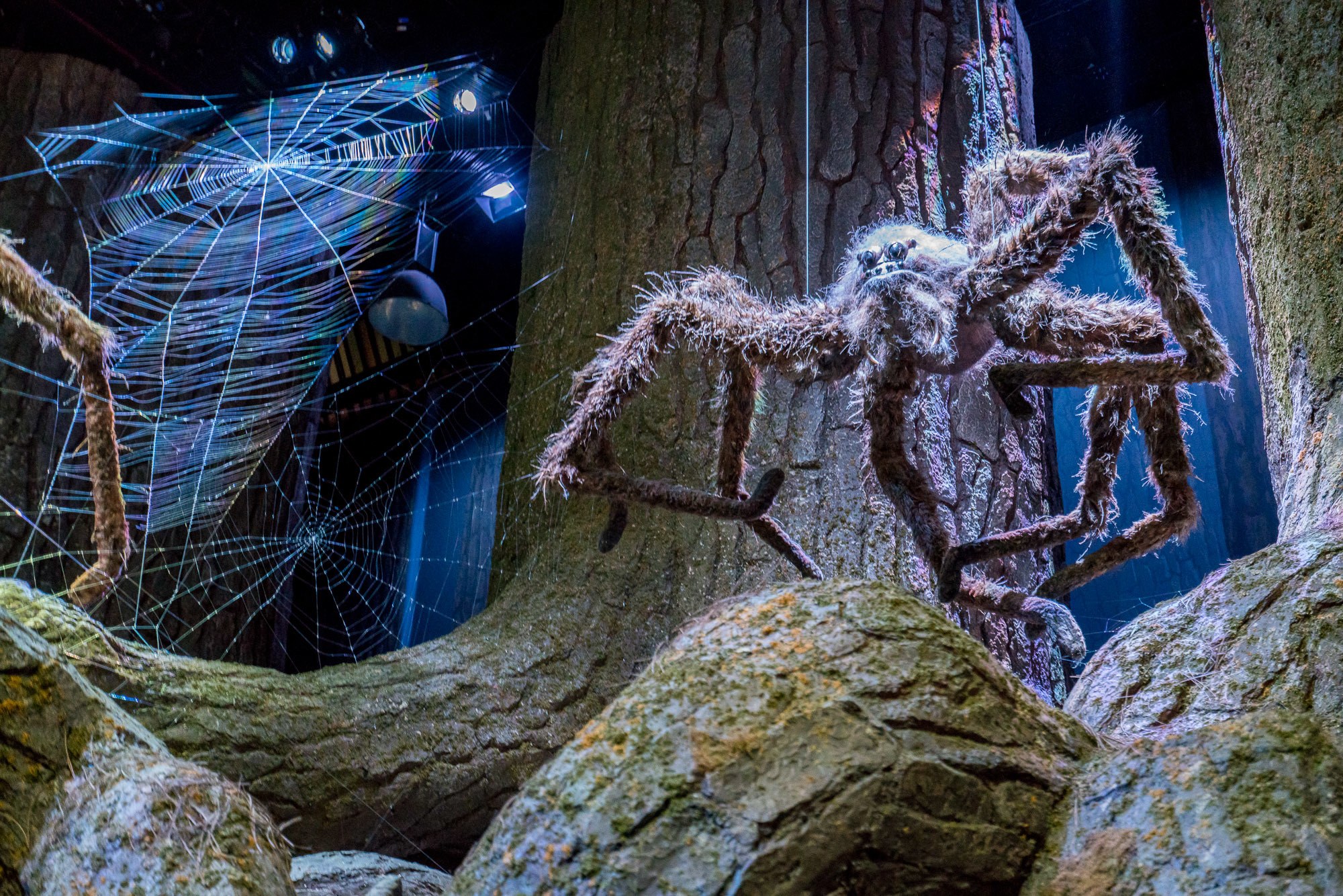 Spiders inside the Forbidden Forest as seen in Harry Potter movies at the Warner Bros. Studio Tour London.
