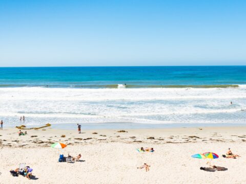 People enjoy sunbathing and surfing on a sunny day - guide to the best San Diego beaches
