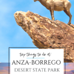 Anza-Borrego Desert State Park is the largest California state park and offers opportunities to hike, camp, stargaze, spot wildflowers, and more year-round.