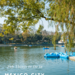 A list of the best Mexico City attractions for all ages.