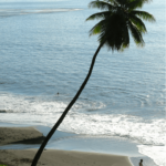 Where to go to the beach on the island of Tahiti (Air France flies direct from LAX to Papeete).