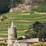 Sip some of the most prestigious and delicious wines in the world in these four French wine regions accessible on Air France via Paris.