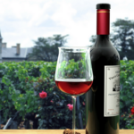 French wine regions: Explore Bordeaux, Alsace, Beaujolais and Rhone Valley wine routes.