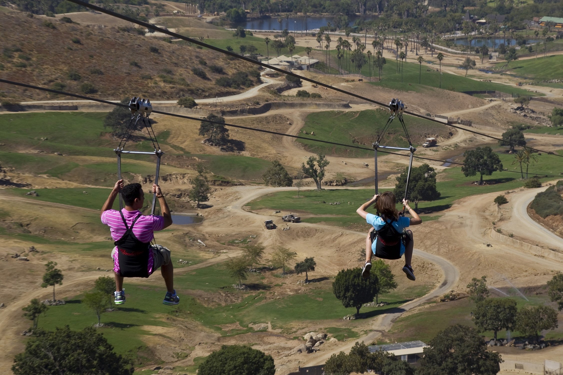 Two people zipline over exhibits on the San Diego Zoo Safari Park Flightline Safari,