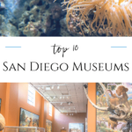 San Diego museums cater to artists, archeologists, surfers, kids, photographers, and a variety of interests. An insider's list of the most visited.