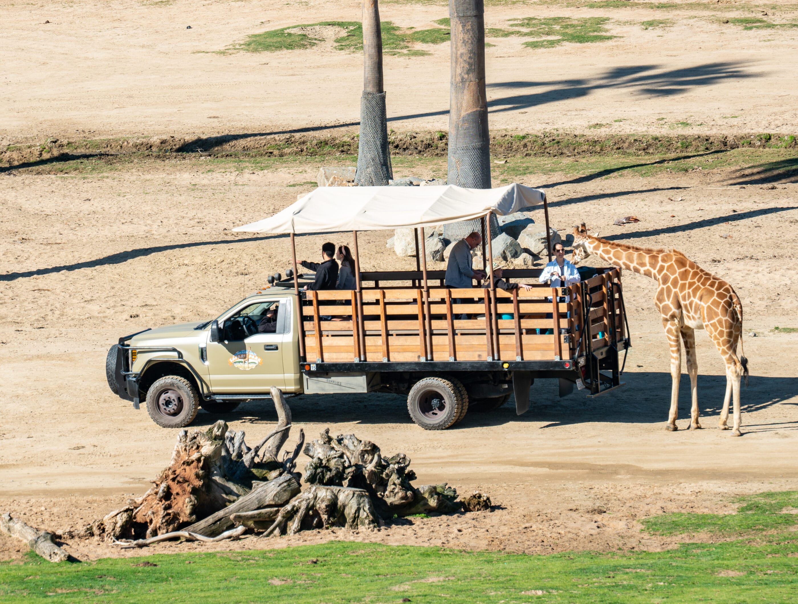 sunday at the safari park