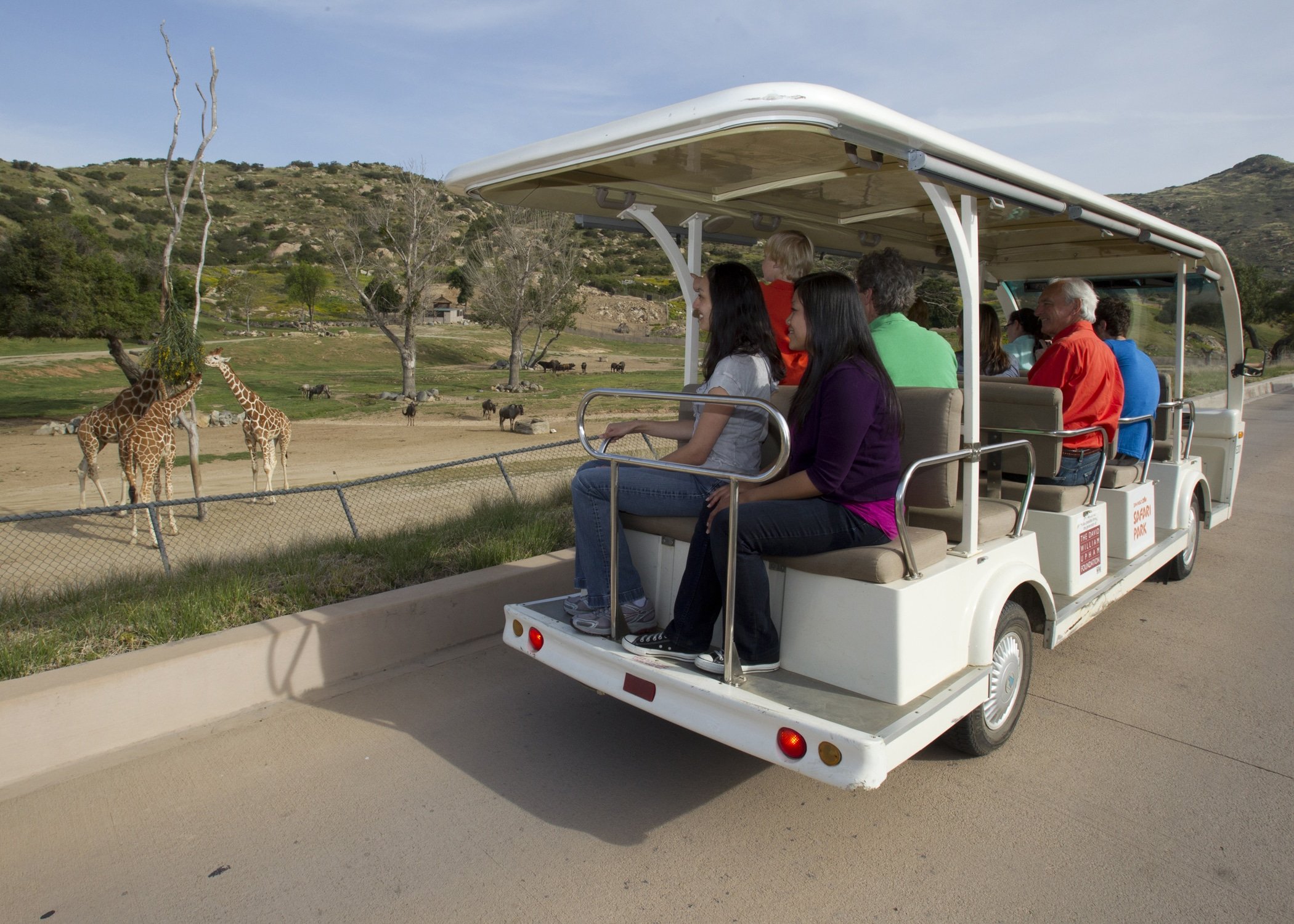 Passengers on a Cart Safari stop to look at giraffes at San Diego Zoo Safari Park.