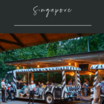 Tips for getting the most out of your visit to the Night Safari in Singapore, especially if traveling with kids.