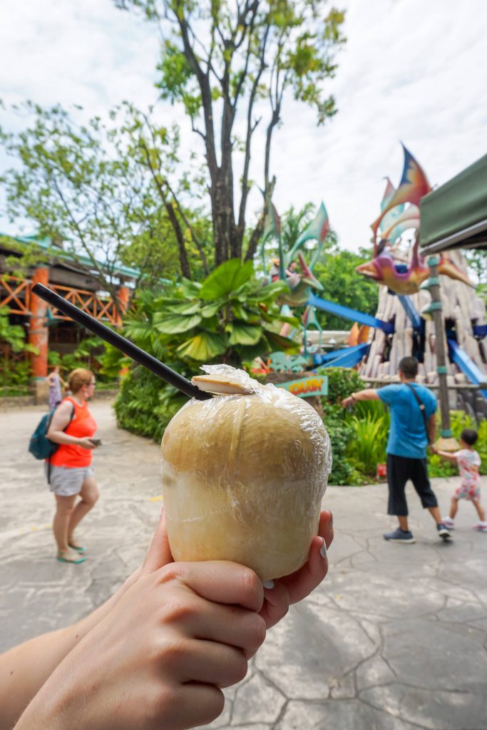 Universal Studios Singapore coconut water