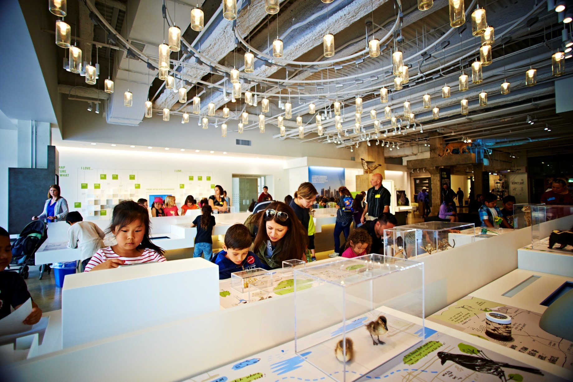 Los Angeles with kids: Natural History Museum