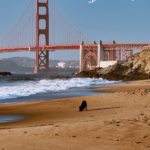 Yes, you can still go to the beach in San Francisco. Here's where to find the best sand, swimming, walks and outdoor fun by the water.