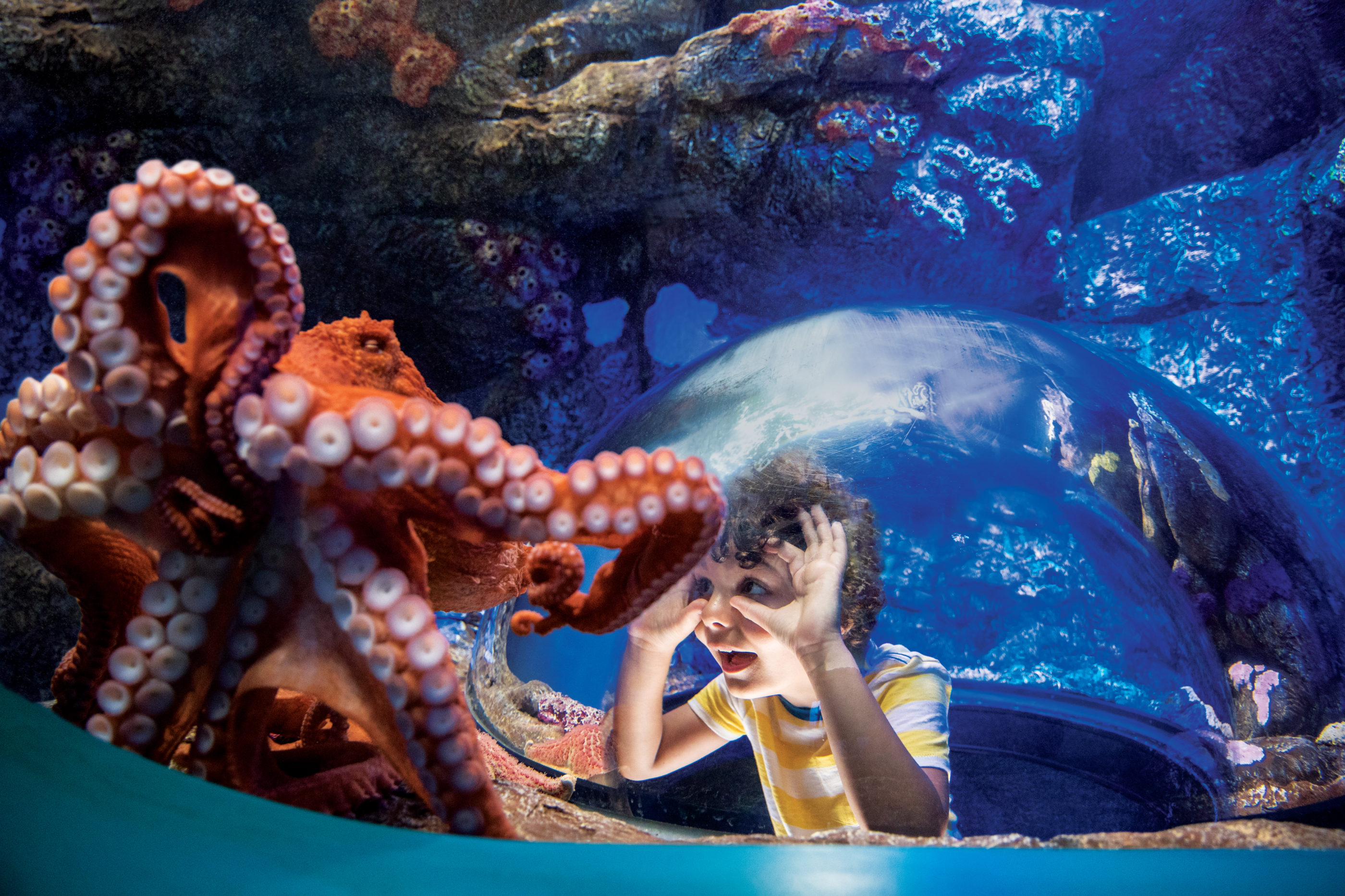 40 Best Things To Do At Mission Bay San Diego La Jolla Mom 40 Best Things To Do At Mission Bay San Diego La Jolla Mom