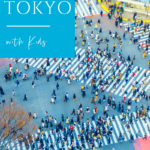 From animal cafes to cultural experiences, find out what the best things to do in Tokyo with kids are in preparation for your next Japan vacation.