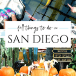 Find the best fall things to do in San Diego including Halloween activities, apple picking, theme park fun, tours, events and more on this annually-updated list.