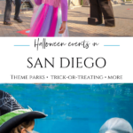 Even in this strange year you can go safe trick-or-treating, explore pumpkin patches, and attend fun Halloween events San Diego has to offer.