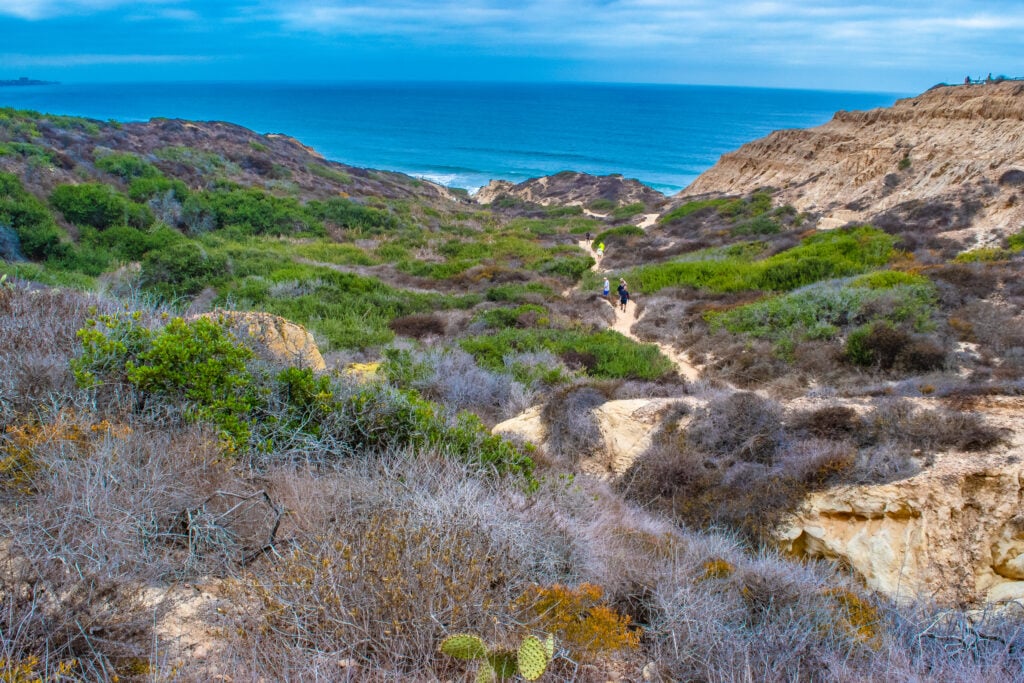 Trilha na Torrey Pines Natural Reserve que vista o oceano.