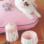 Find the best dog-friendly hotels in Los Angeles by neighborhood including Santa Monica, downtown, Beverly Hills. You won't believe the special pet amenities and we also discuss size restrictions, additional fees, and more.